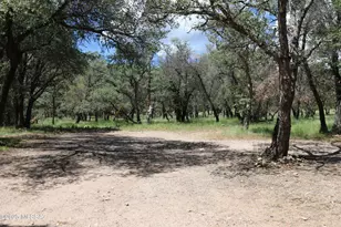 102 E Ramsey Canyon Rd, Hereford, AZ 85615 - Photo 6