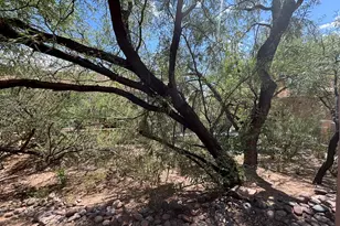 5362 N Calle Del Rocio, Tucson, AZ 85750 - Photo 12