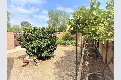 10369 E Roylstons Lane, Tucson, AZ 85747 - Photo 26