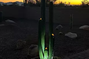 4940 W Dove Nest Pl, Marana, AZ 85658 - Photo 8