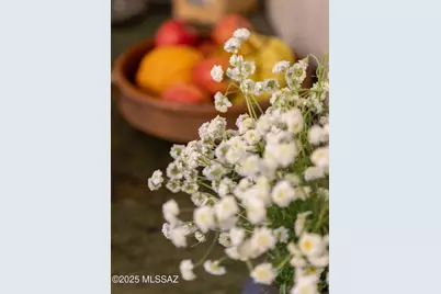 615 S Star Avenue Avenue, Tucson, AZ 85719 - Photo 18