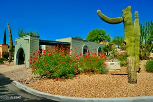 1360 W Camino Alicante, Green Valley, AZ 85622 - Photo 42