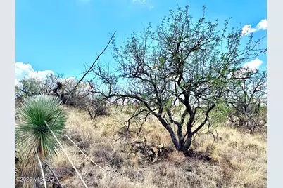2.5 Acres Linda Vista Road #TBD, Oracle, AZ 85623 - Photo 10