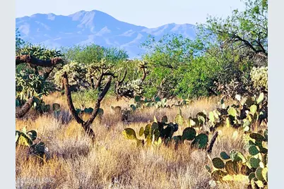 18 Lots Diamond Bell Ranch Road #403, Tucson, AZ 85736 - Photo 6