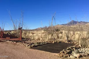 51 Doc Hudson Ct, Rio Rico, AZ 85648 - Photo 46