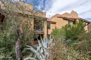 6651 N Campbell Ave, Tucson, AZ 85718 - Photo 4