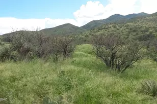 Goodenough Trail, Vail, AZ 85641 - Photo 8