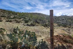 Goodenough Trail, Vail, AZ 85641 - Photo 4