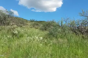 Goodenough Trail, Vail, AZ 85641 - Photo 12