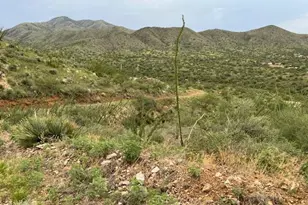 Goodenough Trail, Vail, AZ 85641 - Photo 2