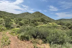 Goodenough Trail, Vail, AZ 85641 - Photo 6