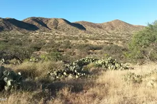 Goodenough Trail, Vail, AZ 85641 - Photo 10