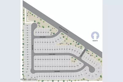 12615 E Remi Drive, Vail, AZ 85641 - Photo 10