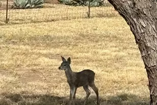 30 Sunset Ln, Elgin, AZ 85611 - Photo 36