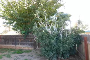 104 N Neff Pl, Pearce, AZ 85625 - Photo 26