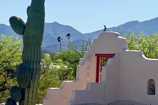 4920 W Harris Hawk Pl, Tucson, AZ 85745 - Photo 4