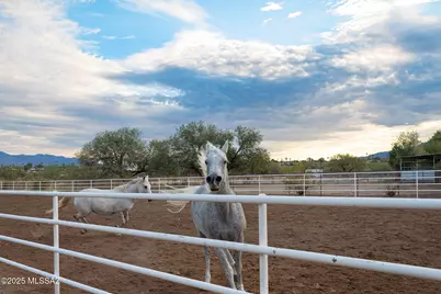 9525 E Graf Lane, Tucson, AZ 85730 - Photo 22