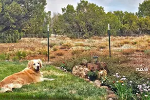 3 N3122, Vernon, AZ 85940 - Photo 6