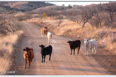 Tbd Muledeer Drive #110, Rio Rico, AZ 85648 - Photo 24