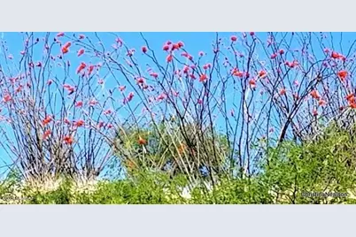 35700 Cedar Creek Road, Arivaca, AZ 85601 - Photo 4
