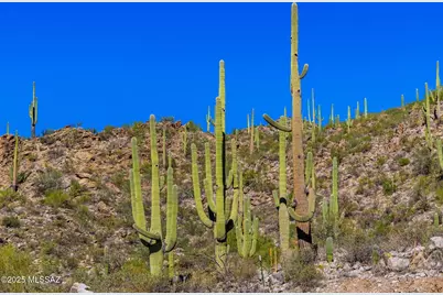 14124 Tortolita Estates Drive, Tucson, AZ 85755 - Photo 20