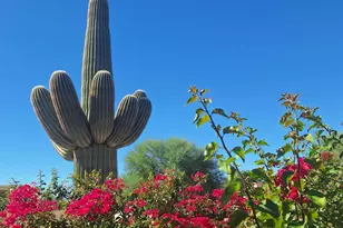 3673 W Thundercloud Loop, Tucson, AZ 85742 - Photo 26
