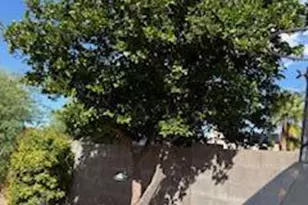 10163 E Sunset Meadow Pl, Tucson, AZ 85747 - Photo 44