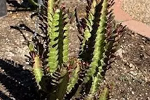 10163 E Sunset Meadow Pl, Tucson, AZ 85747 - Photo 42