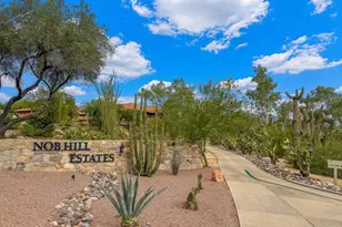 8450 N Nob Hill Dr, Tucson, AZ 85742 - Photo 26