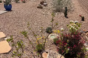 1668 E Comely Ct, Green Valley, AZ 85614 - Photo 46