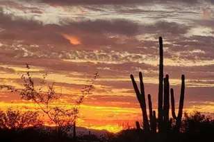 6181 N Bobcat Ln, Tucson, AZ 85743 - Photo 34