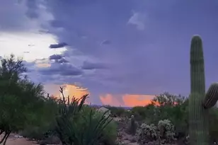 6181 N Bobcat Ln, Tucson, AZ 85743 - Photo 30