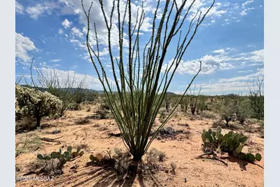 14950 Herfkens Avenue #334, Tucson, AZ 85736 - Photo 40