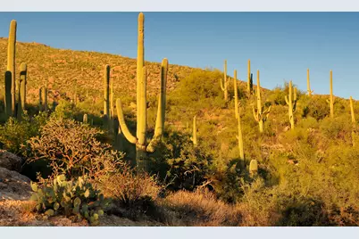 6412 Desert Wind Circle #46, Tucson, AZ 85750 - Photo 14