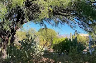 401 W Esperanza Blvd, Green Valley, AZ 85614 - Photo 22