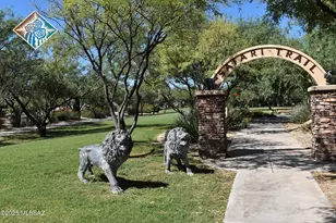 860 W Calle Nicoya, Sahuarita, AZ 85629 - Photo 44