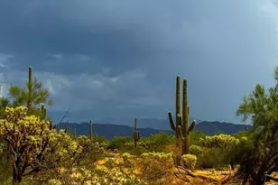 0 Twin Hawk Ln Lot #5 10 Acres, Marana, AZ 85658 - Photo 1