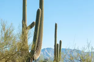 [Address not provided], Tucson, AZ 85745 - Photo 44