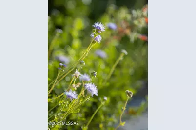 [Address not provided], Tucson, AZ 85745 - Photo 46