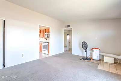 236 S McNab Parkway, San Manuel, AZ 85631 - Photo 12