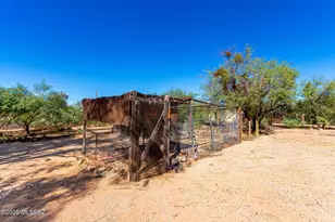 12545 N Avenida Saturno, Marana, AZ 85653 - Photo 26