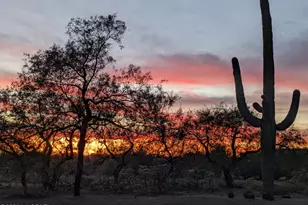 4987 N Creosote Canyon Dr, Tucson, AZ 85749 - Photo 48