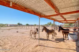 16901 W Branch Water Ln, Marana, AZ 85653 - Photo 22
