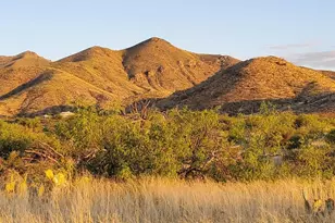 11201 E Camino Aurelia, Vail, AZ 85641 - Photo 6