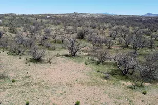 36420 Cedar Creek Rd, Arivaca, AZ 85601 - Photo 1