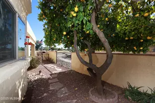 8674 N Arnold Palmer Dr, Tucson, AZ 85742 - Photo 12