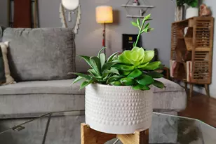 2825 E Manchester St, Tucson, AZ 85716 - Photo 6