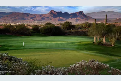 13529 N Buckhorn Cholla Drive, Marana, AZ 85658 - Photo 36