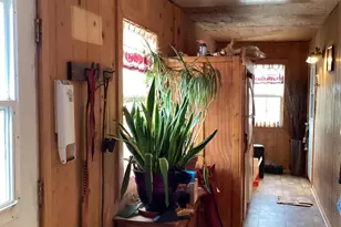 6265 W Copper Bug Rd, Elfrida, AZ 85610 - Photo 14