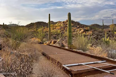 14531 N Rocky Highlands Drive, Oro Valley, AZ 85755 - Photo 48